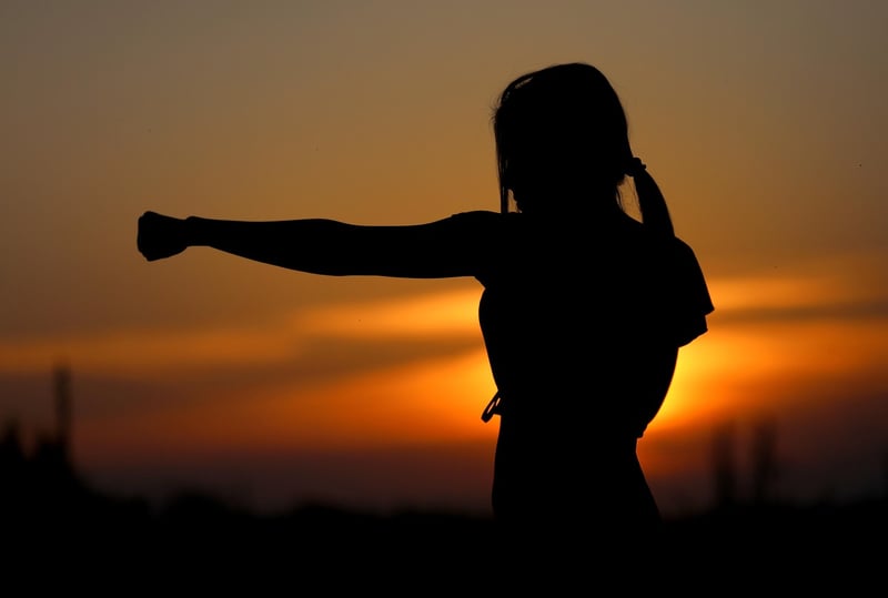 Martial Arts Practice